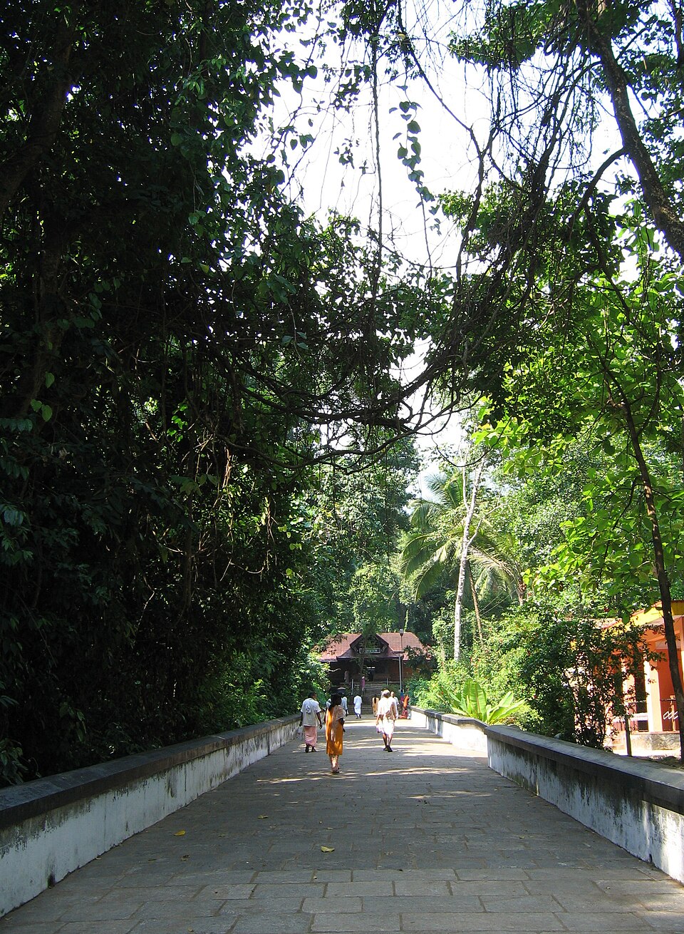 Temple photograph associated with Kottiyoor Temple