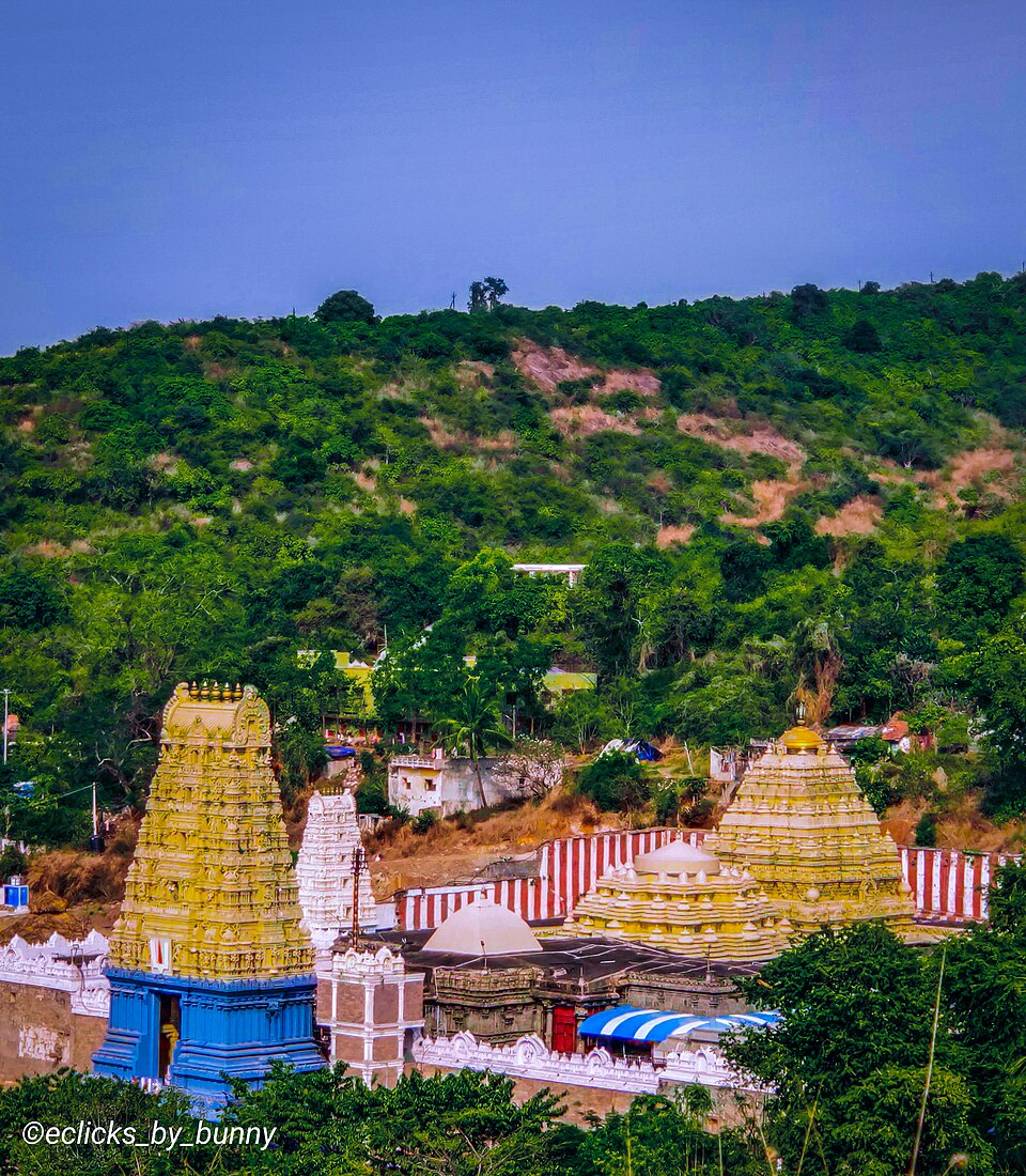 Temple photograph associated with Varaha Lakshmi Narasimha temple, Simhachalam